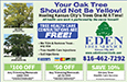 Eden Tree Service